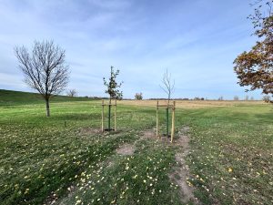 Aufforstung des Talsperrenbetriebs. Gruppenfoto von Christina Gaudlitz